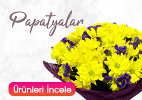 Papatya Buketleri