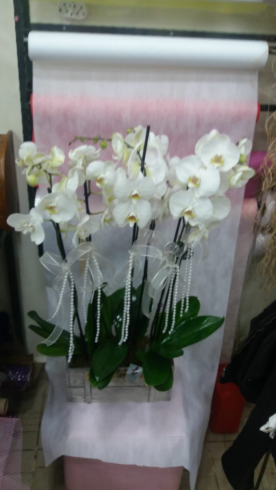 4 dallý beyaz orkide